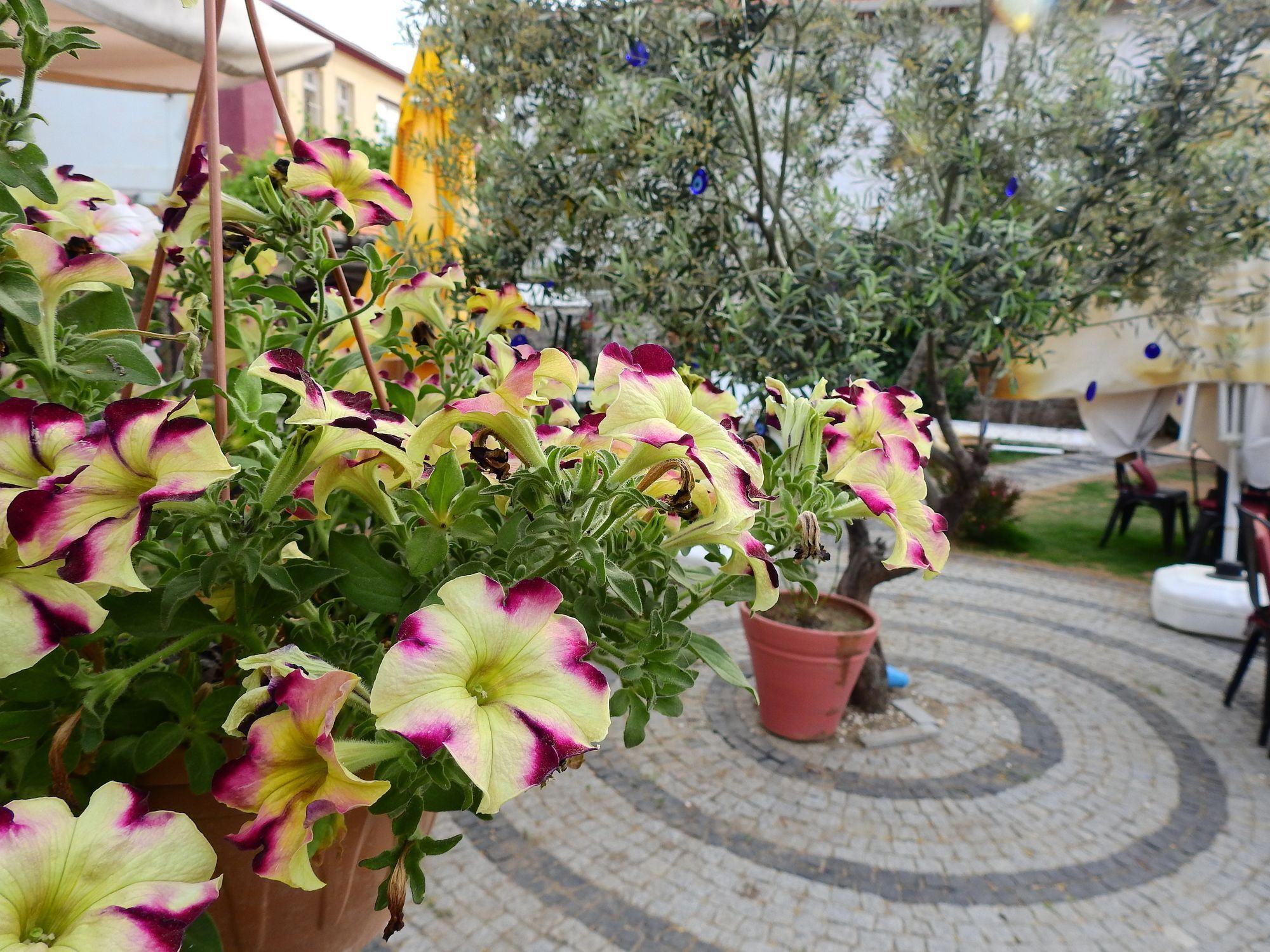 Eden Selene Hotel Ayvalı Exterior foto